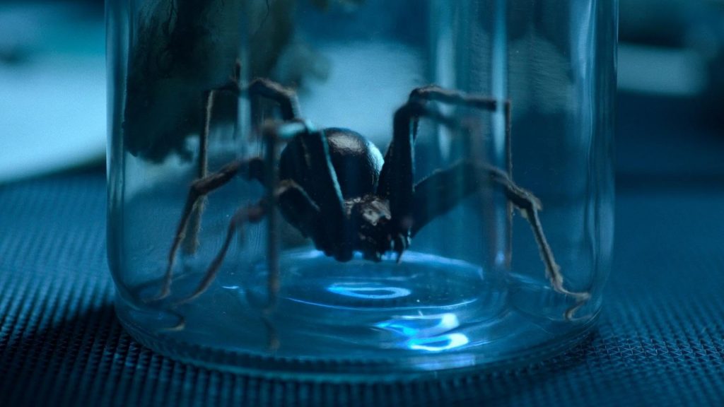 4 de julio – ‘Sting. Araña asesina’