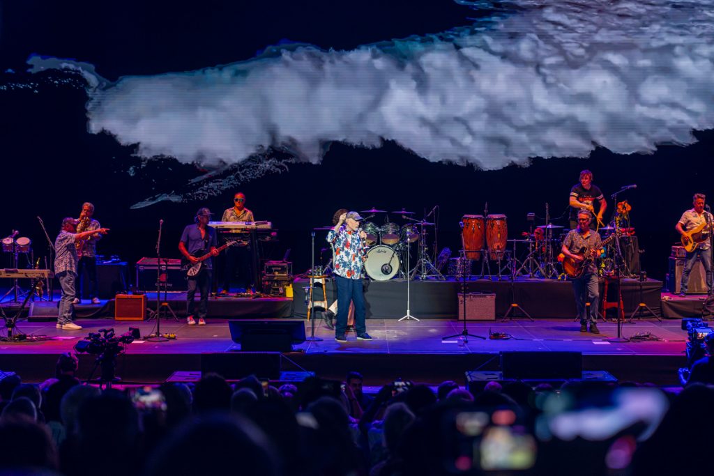 La cultura del surf The Beach Boys