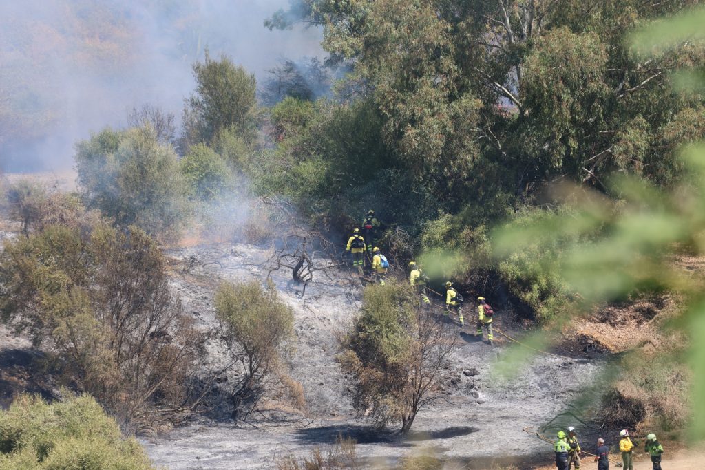 Incendio en la urbanización La Alzambra, Marbella