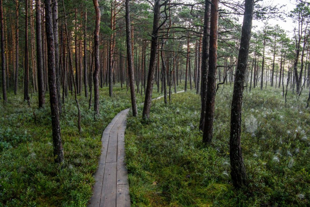 Soomaa National Park