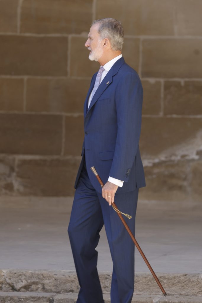 Bastón de madera Visita oficial de los Reyes y la Princesa a la Comunidad Foral de Navarra