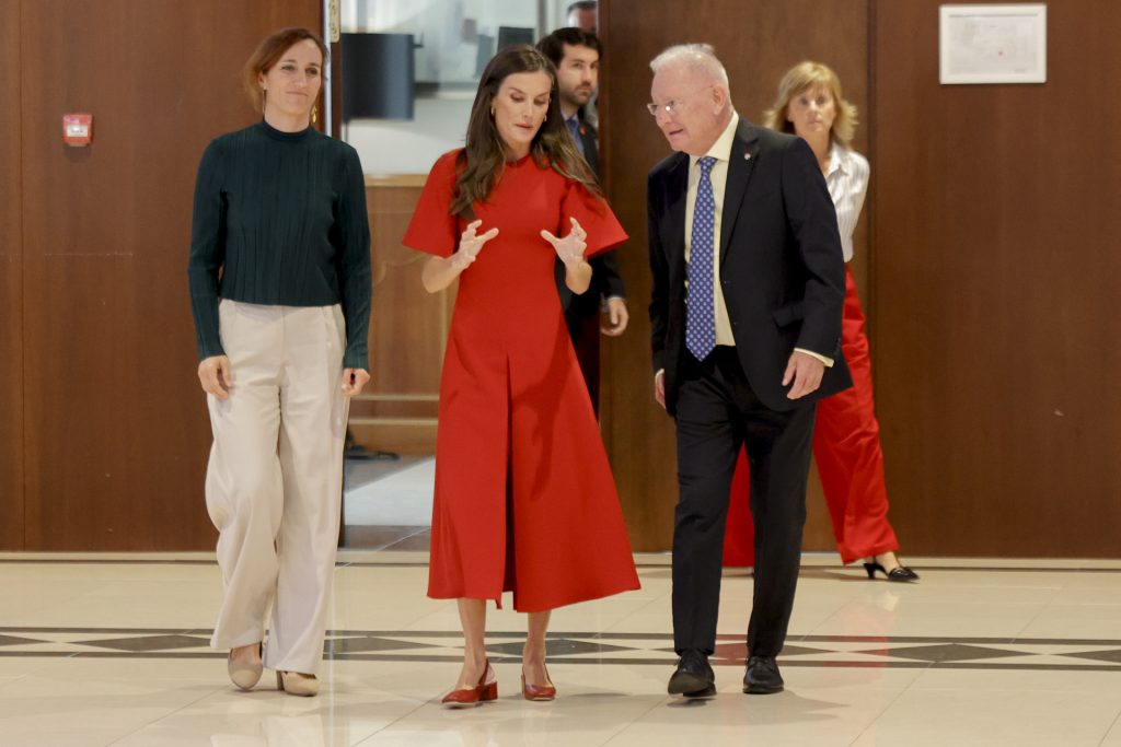 Lenguaje visual La reina Letizia