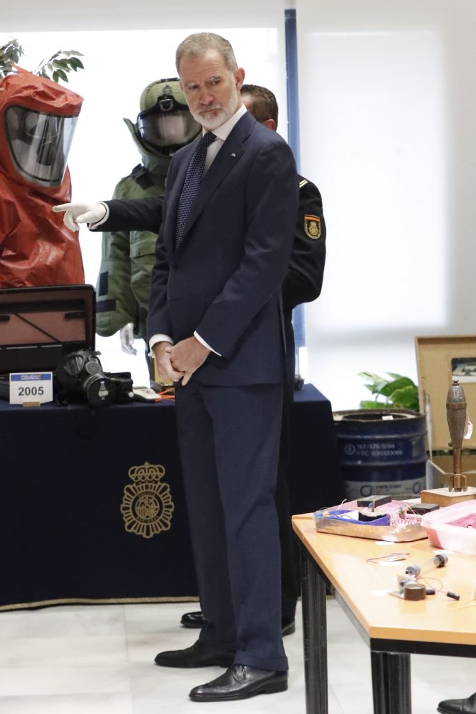 Rey Felipe VI
