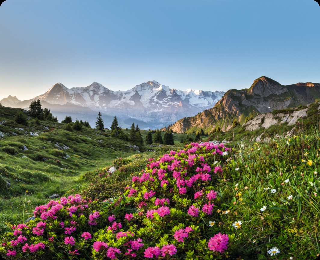 Suiza impulsa las escapadas de cumpleaños con trenes panorámicos, spas alpinos y hoteles para alargar la celebración