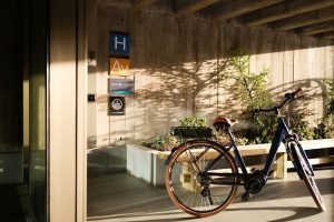 https://stratus.campaign-image.eu/images/166895000012522003_zc_v1_1776766275879_imagen1.png